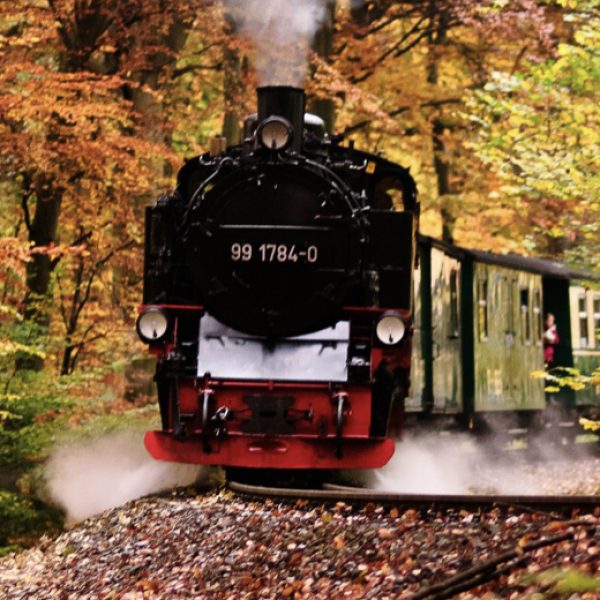Seit 1985 geht es auf der Schmalspurbahn „Rasender Roland“ von Putbus über Binz nach Sellin, Baabe und Göhren.