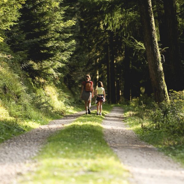 Rügen bietet Ihnen ingesamt mehr als  800 Kilometer gut gepflegte Rad- und Wanderwege.